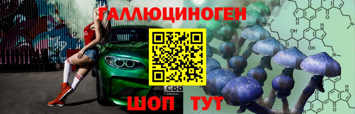 Электрогорск  Псилоцибиновые грибы GOLDEN TEACHER  купить закладку  Вход с VPN 