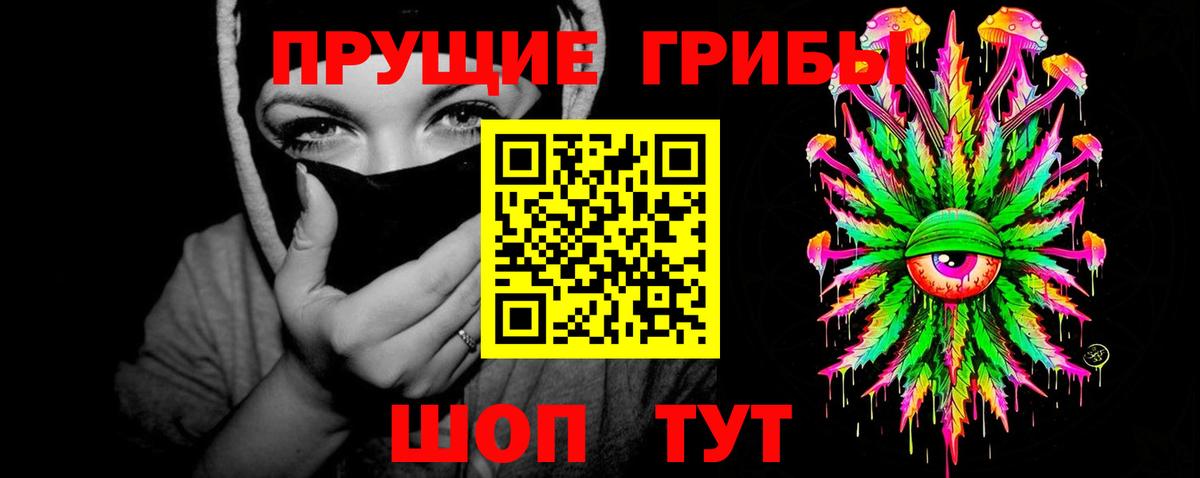 Галлюциногенные грибы Psilocybe Электрогорск